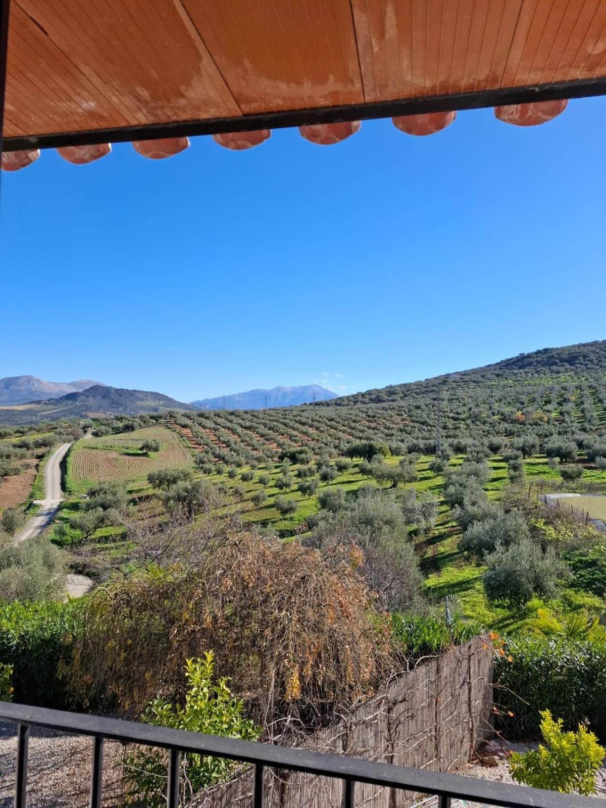Hacienda Riogordo Bed & Breakfast Exterior photo