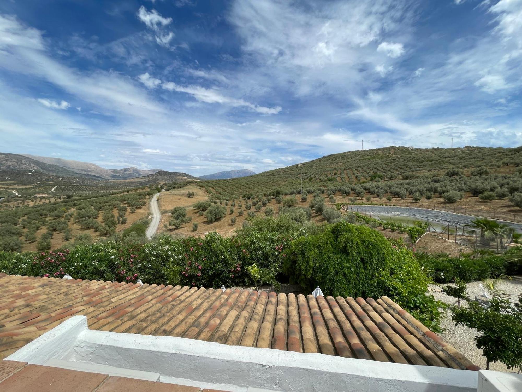 Hacienda Riogordo Bed & Breakfast Exterior photo